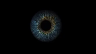 My eye